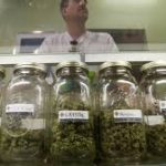 Requirements of Medical Marijuana Dispensaries
