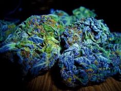 Blue Dream marijuana strain I DispensaryLocation.com